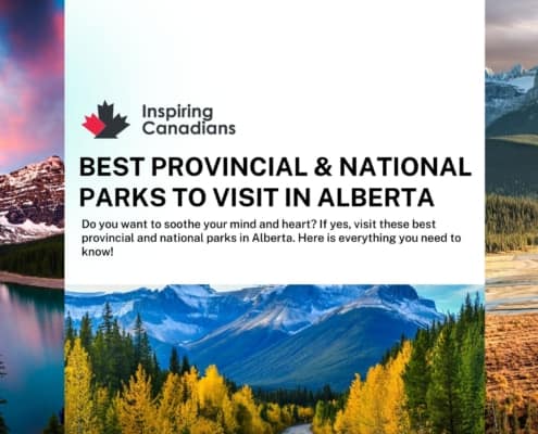 Best Provincial & National Parks to Visit in Alberta