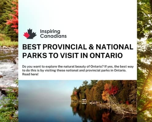 Best Provincial & National Parks to Visit in Ontario