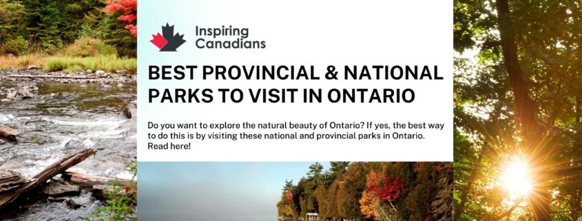 Best Provincial & National Parks to Visit in Ontario