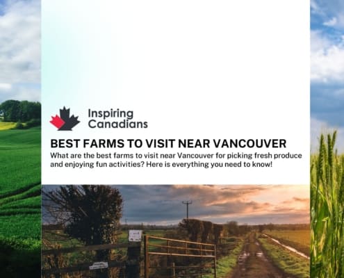 Best farms to visit near Vancouver