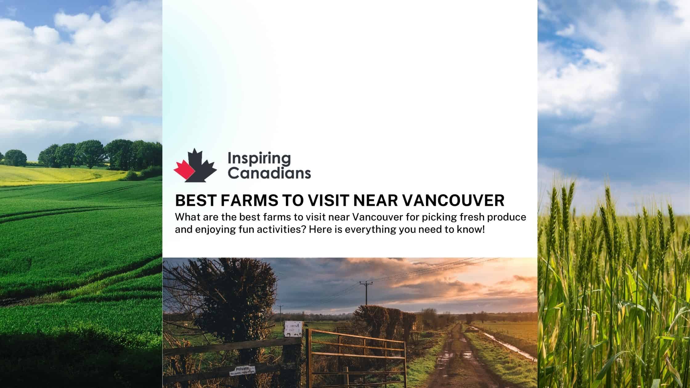 Best farms to visit near Vancouver
