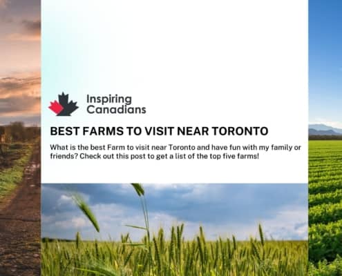 Best Farms to Visit Near Toronto