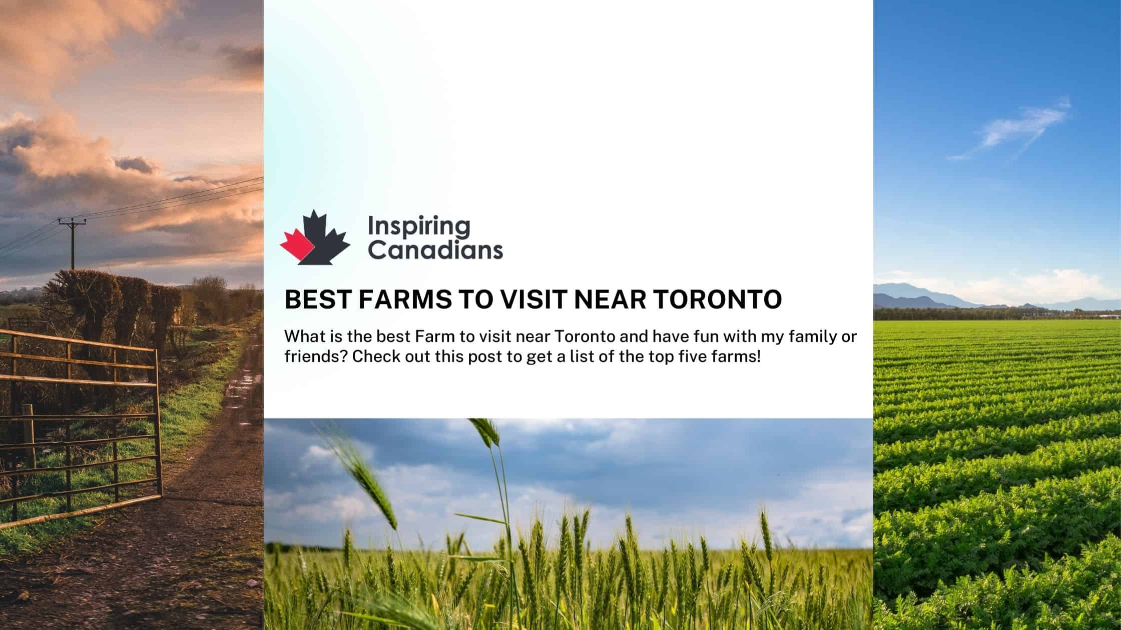 Best Farms to Visit Near Toronto