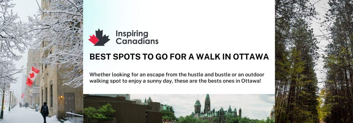 Best spots to go for a walk in Ottawa