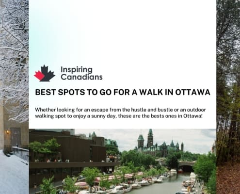 Best spots to go for a walk in Ottawa
