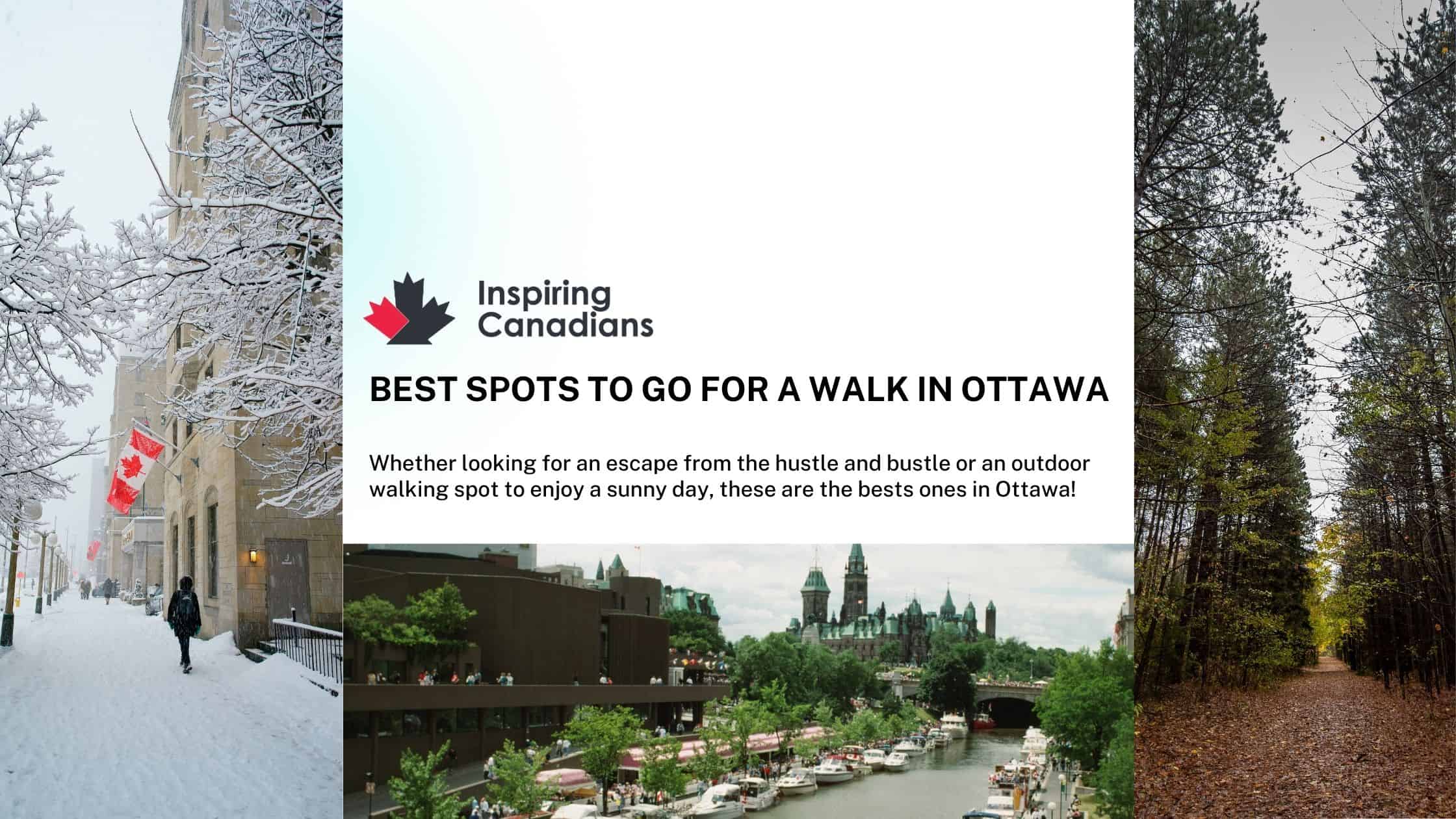 Best spots to go for a walk in Ottawa