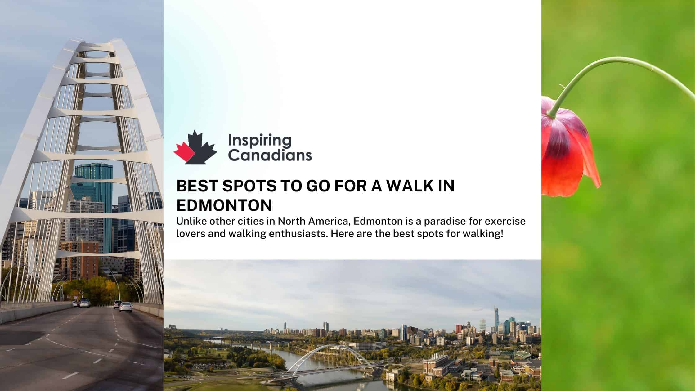 Best spots to go for a walk in Edmonton