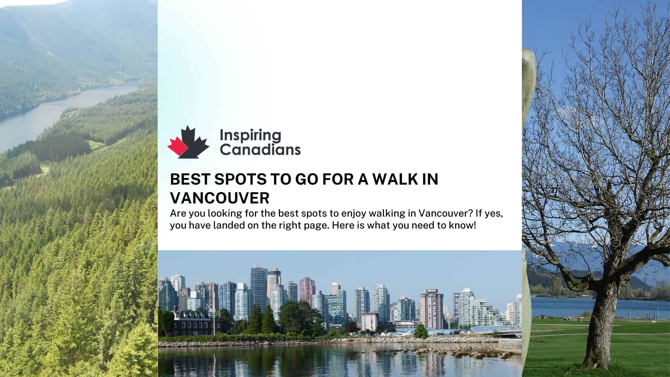 Best Spots to go for a walk in Vancouver