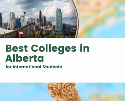 Best Colleges in Alberta for International Students